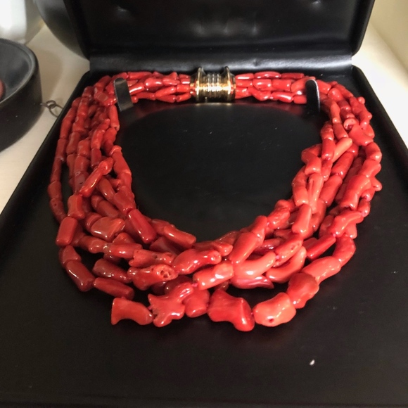 Meet your Posher, Steve - Picture 7 of 8